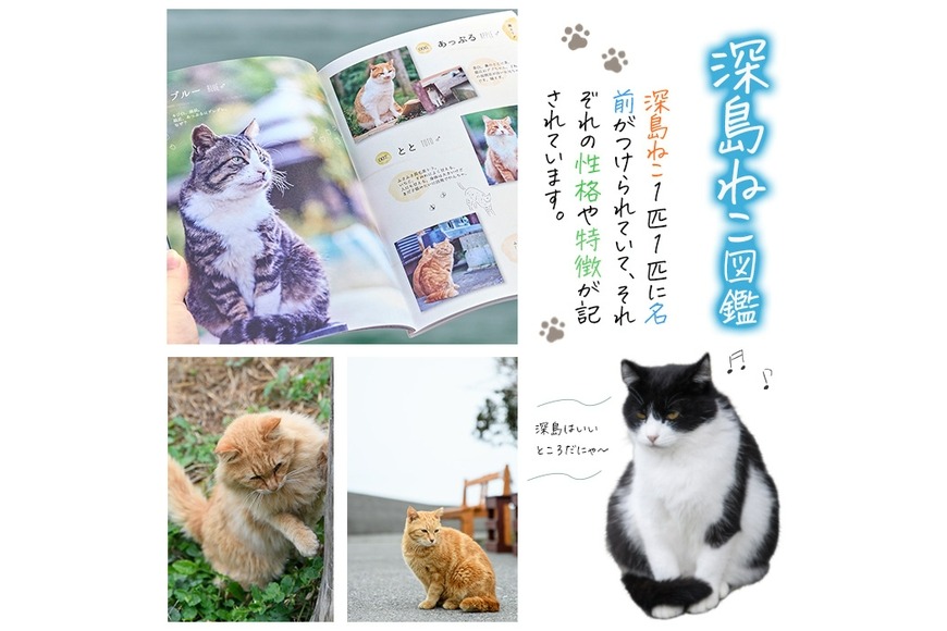 深島ねこ図鑑vol.3 (1冊) 猫 ねこ 写真集 本 雑誌 書籍 深島 猫の島