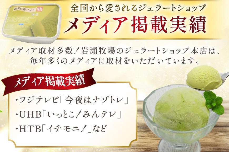 テレビで紹介！ アイス ジェラート 抹茶 1L ファミリーサイズ ジャンボ