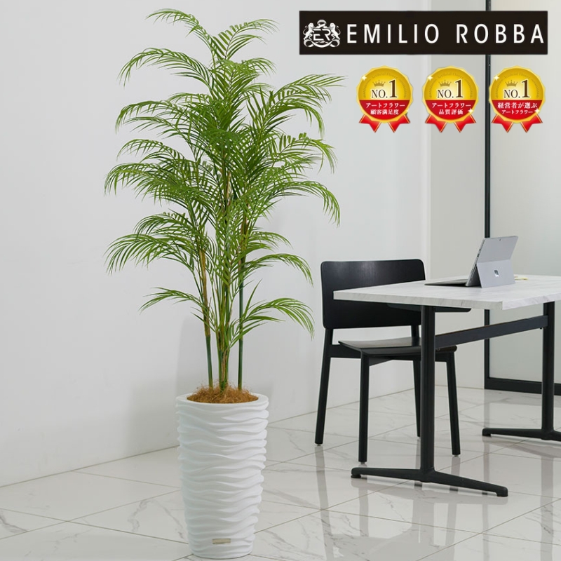 エミリオロバ 多肉植物 観葉植物 観葉植物 エミリオ・ロバ パーム 4L TUTTA14850 ヤシの木 アーティ