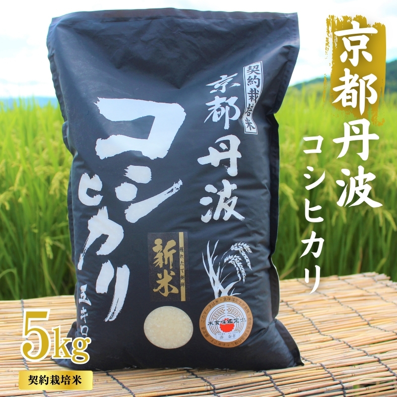 令和7年産 京都丹波産 こしひかり 5kg 契約栽培米 白米 精米 お米 こめ