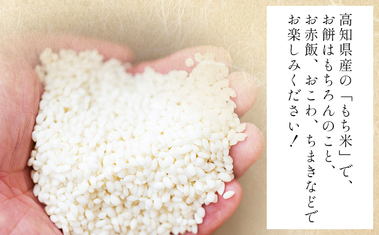 もち米 5kg - ミヤタマモチ 国産 餅 モチ もちもち おもち おこわ