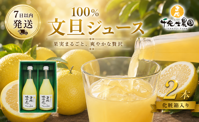 文旦 フレッシュ ジュース 2本セット 果汁 100％ ぶんたん 土佐文旦