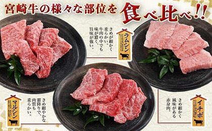 焼肉盛り合わせセットの思い出話 数量限定】宮崎牛9種盛り焼肉セット_22-3101（宮崎県都城市