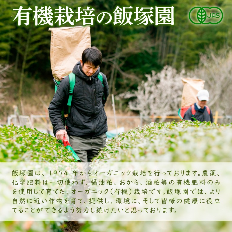 中国高級茶葉★古法六堡茶★乾燥ブロック500g 545e1b14-bec6-499e-a022-