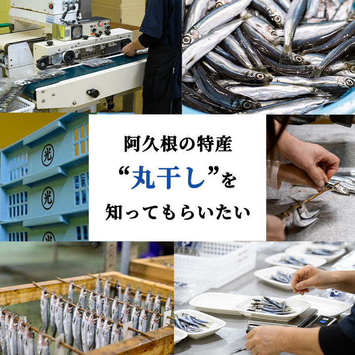 訳あり！いわし純＜いわし干物＞(計250g・50g×5P) 国産 鹿児島県産