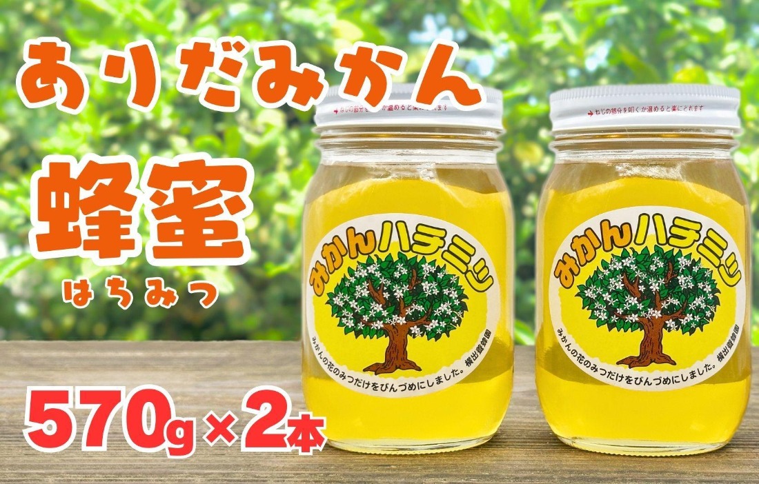 和歌山県有田産 みかん蜂蜜 ありだみかん蜂蜜 2本セット（570g×2本） BC03（和歌山県有田川町