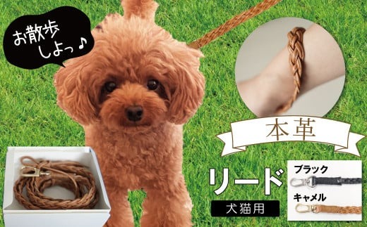 リード　牛本革　わんちゃん用　レザークラフト リード 牛本革 わんちゃん用 レザークラフト - メルカリ