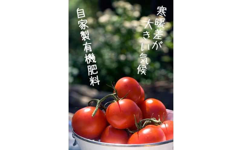 2027年夏発送】完熟 富良野 ミニトマト 約1kg 野菜 トマト 新鮮 直送