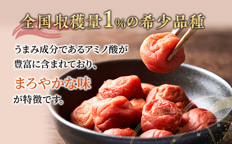 ふるさと納税】梅干し 甘くない 合計800g 2個セット しそ漬け すっぱい