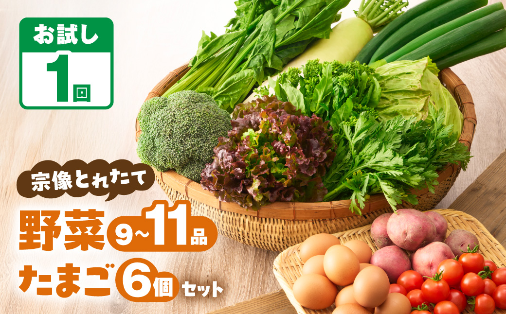 一週間以内に発送】宗像とれたて 野菜・たまごセット【オアシス
