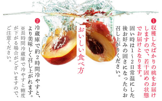 透過式光センサー川中島白桃 特秀3kg相当 9玉～11玉＜ ふくしま未来