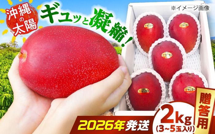 2026年7月上旬より順次発送】【贈答用】沖縄市産マンゴー「太陽の