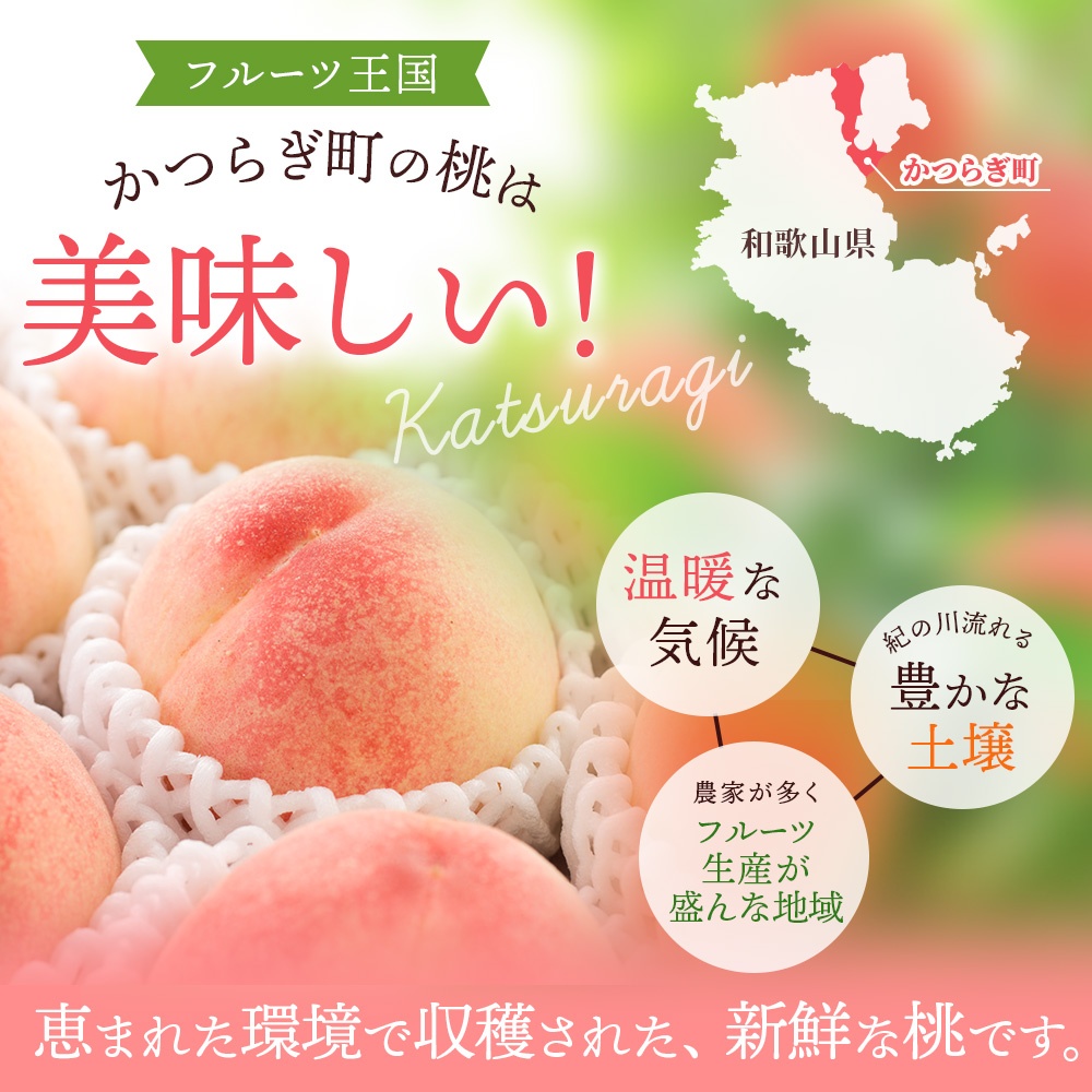 予約受付】こだわり農家厳選 川中島白桃 和歌山産の桃 嬉しい食べきり