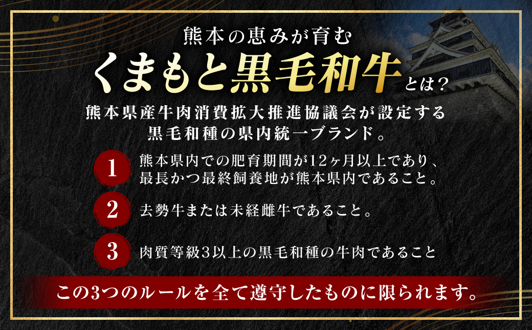 A4～A5ランク】 くまもと黒毛和牛 サイコロ ステーキ 500g （250g×2