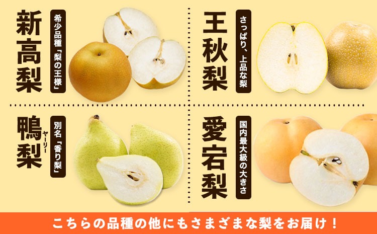 岡山県産 秀品 旬の梨 約2.5kg 2~6玉前後 梨 秀品 新高 愛宕 スイーツ