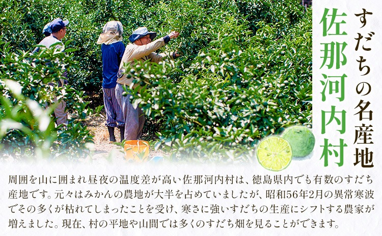 CF】＜ 先行予約 ＞ 生産量日本一 徳島県産 ハウスすだち 2kg 《2026年