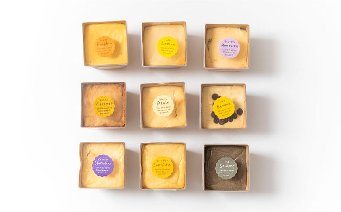 種類豊富な詰め合わせスイーツ】チーズケーキ 6種 9個セット / ちーず