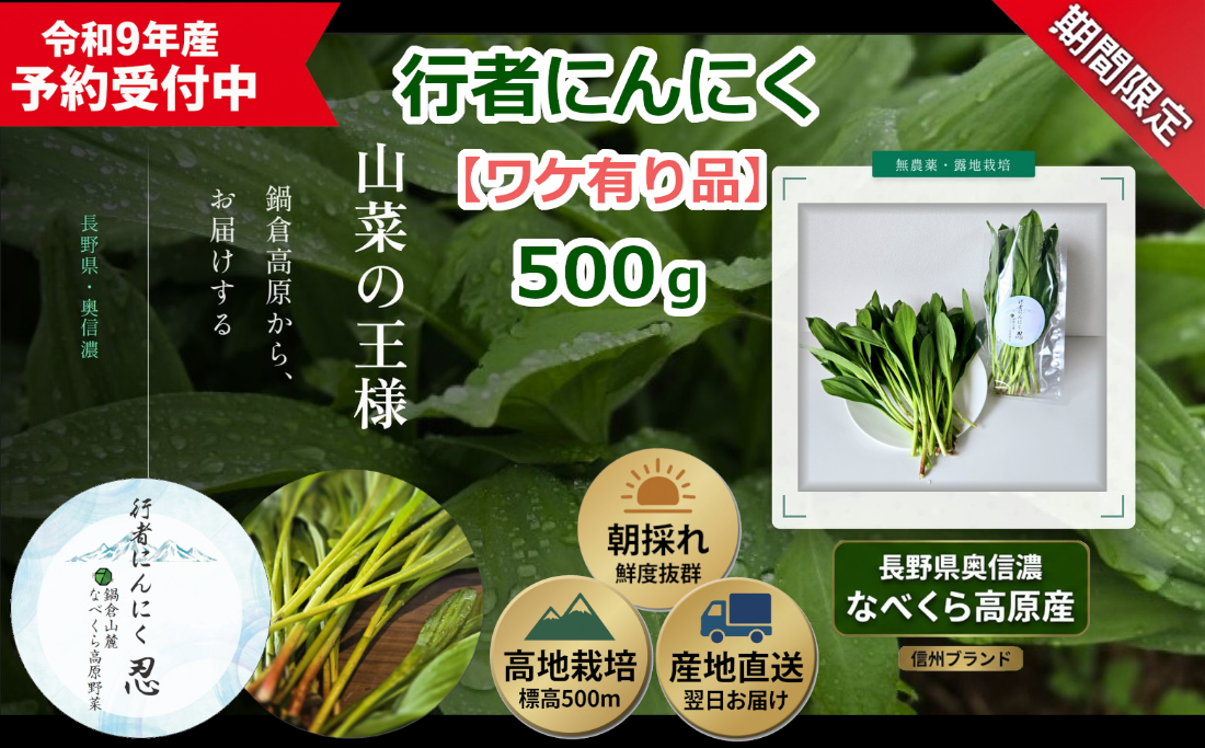 令和9年産先行予約】＼訳あり／行者にんにく 忍 500g入り 1箱(70枚～75