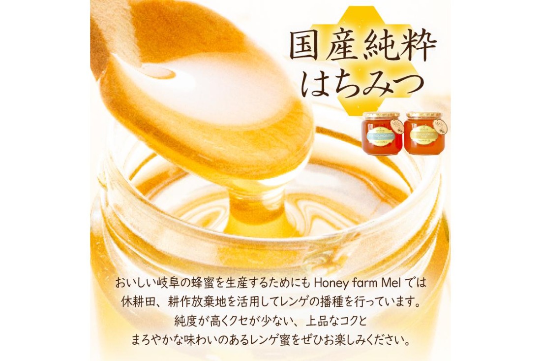 岐阜県産 日本蜜蜂の蜂蜜　純粋はちみつ 1400g (700g×2本)　② 純粋蜂蜜（みつばちの恵） | 商品詳細 | 高島屋オンラインストア