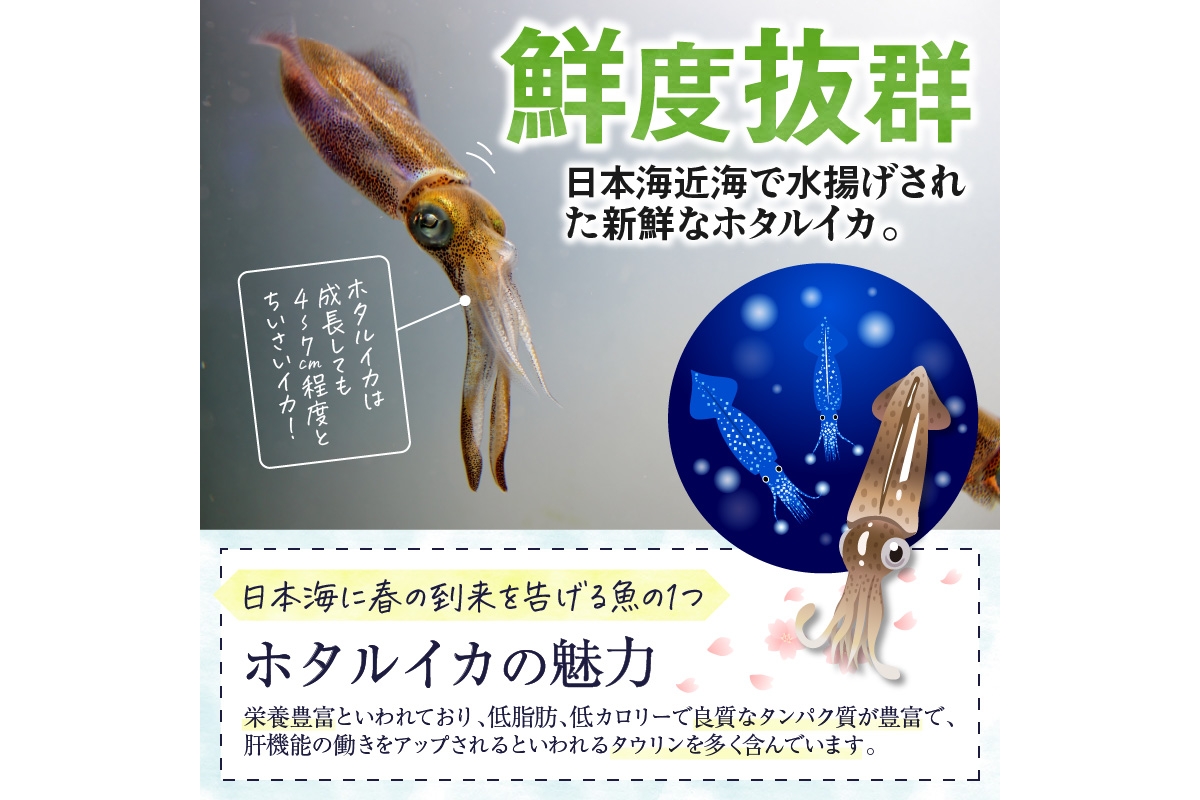 魚屋が漬けるホタルイカの沖漬け 10パック（1パック180g）計約1.8kg