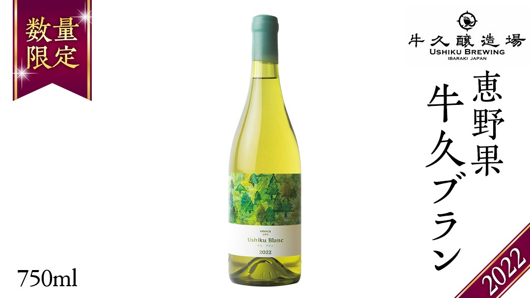 恵野果 牛久ブラン 2022 750ml×1本 茨城県産 牛久醸造場 日本ワイン