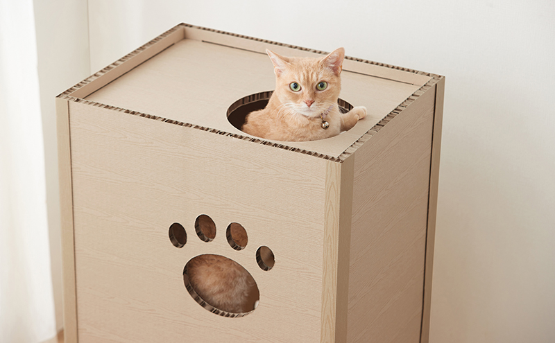 キャットタワー 低め 段ボール ねこねこタワー アイリスオーヤマ 2段 P