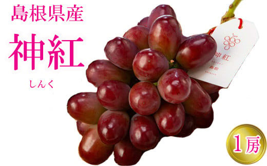 島根県オリジナル品種 神紅1房（500g見当） 甘い 美味しい 新鮮