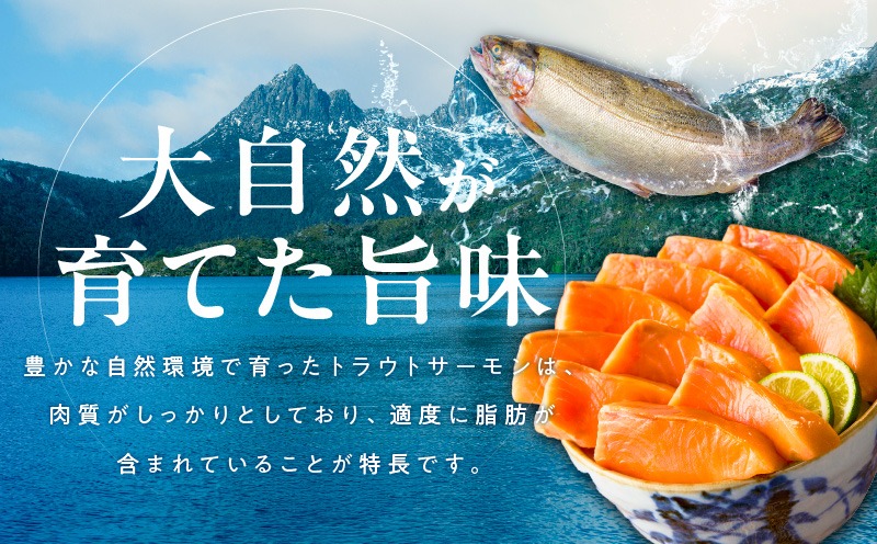kgp0049-1 お刺身用 サーモン トラウト 2kg【小分け 約250g×8P