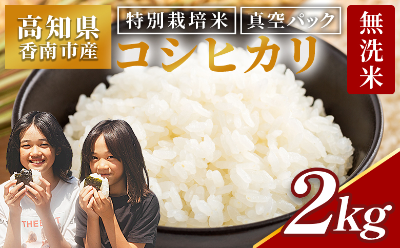 無洗米コシヒカリ 2kg 【令和8年産】 高知県香南市産 特別栽培米 真空