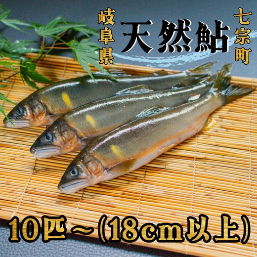 【金色に輝く】岐阜県産　天然鮎干し　鮎ジャーキー　鮮度抜群　愛犬用　栄養満点 天然鮎 一夜干し – 高知かわうそ市場