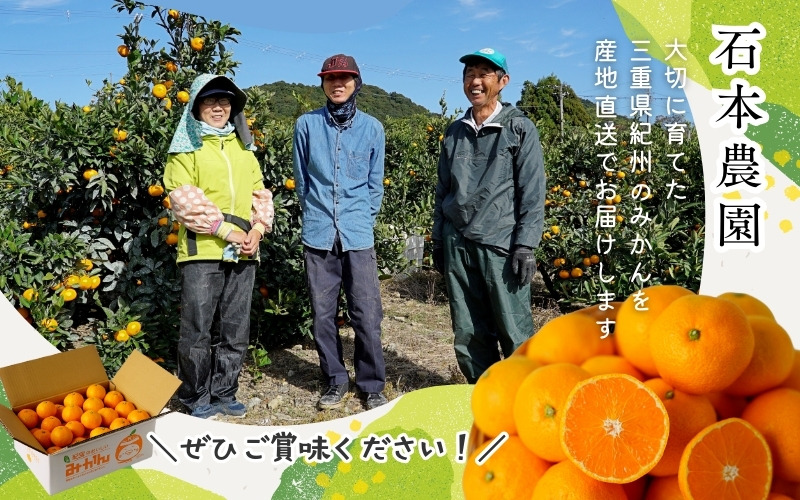 みかん オレンジ 訳あり S-4L サイズおまかせ 石本農園のカラ