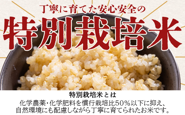 令和8年度産 玄米（特別栽培米）5kg 【8月下旬以降順次配送】 お米