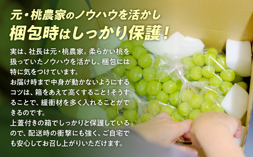【夏季限定】No.3　2kg　シャインマスカット　摘みたて　産地直送　山梨県 2025年発送】山梨県産シャインマスカット3kg フルーツ 山梨県産