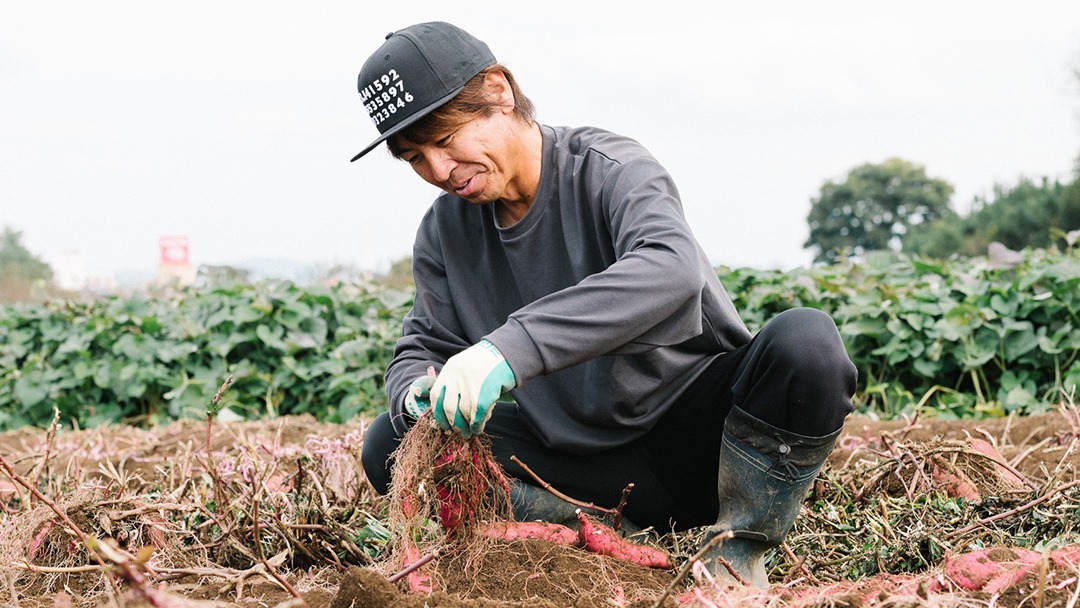 訳あり さつまいも 紅はるか 約 5kg 土付き 無選別 茨城 八千代町産 生