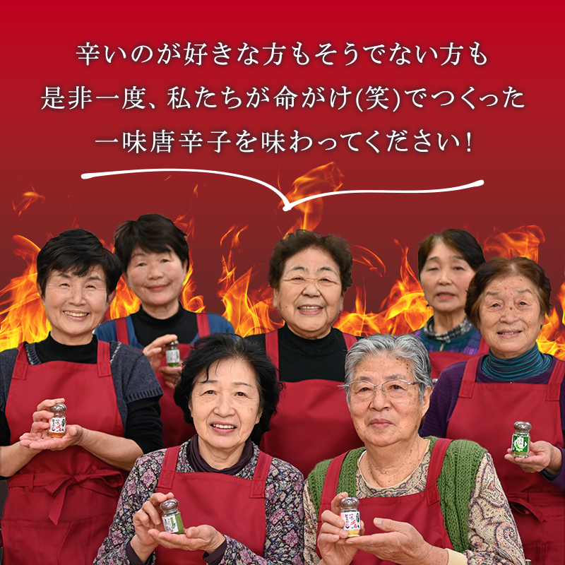 FYN9-528 山形県 西川町産 唐辛子使用！ 月山なんばこ 3種3本セット