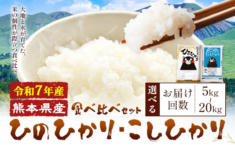 令和7年産 米 無洗米 ひのひかりこしひかり 食べ比べ 選べる 10kg 20kg