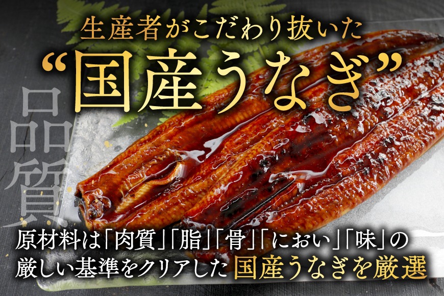 国産 大 特上うなぎ(160g×4尾)【OT000OB40】（北海道別海町