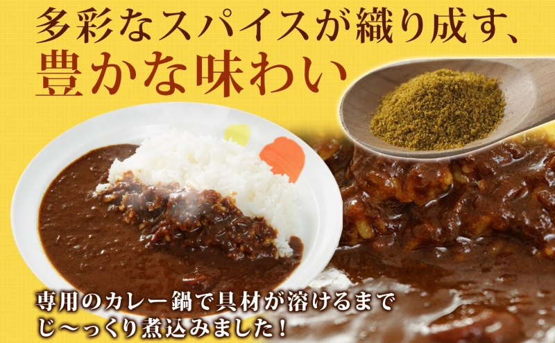 松屋 オリジナルカレーの具 180g 10袋 カレー レトルトカレー 辛口
