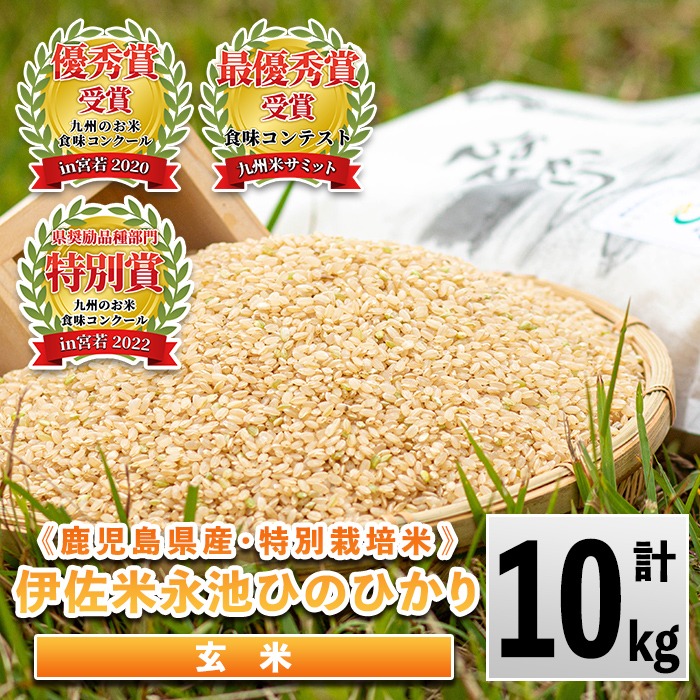 ヒノヒカリ 新米ヒノヒカリ 令和6年産 奈良県産 お米 30kg 送料