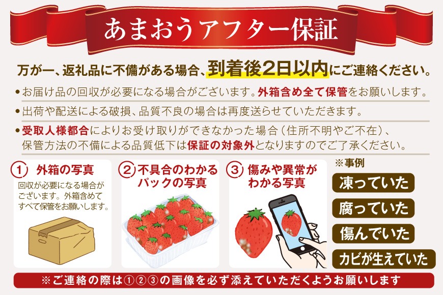 いちご あまおう 厳選大粒 4p 【2027年発送】 [THE FARM_strawberry
