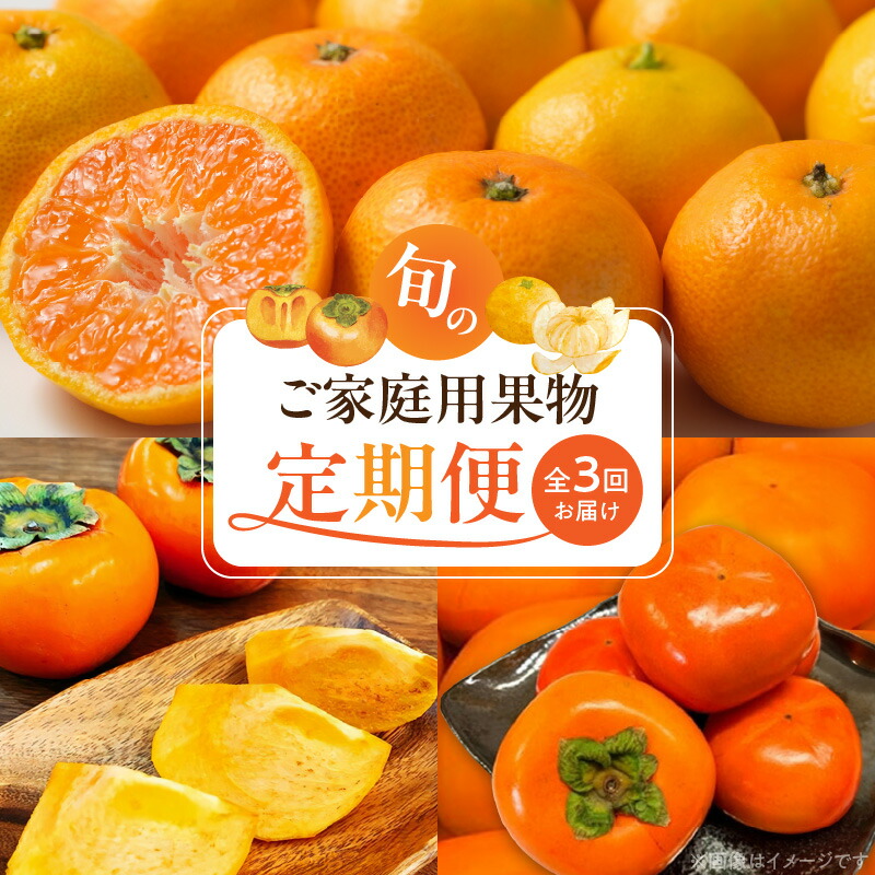 定期便 全3回】紀州和歌山産旬のご家庭用果物セット（ひらたね・富有柿