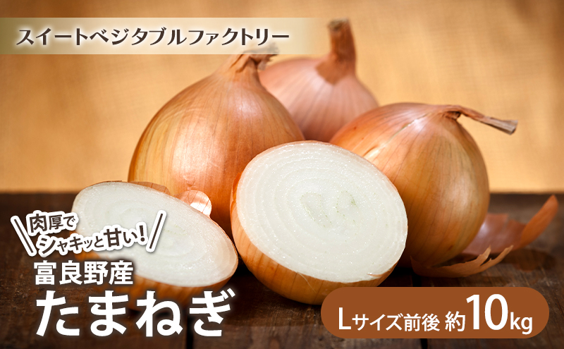 2026年秋冬発送】北海道富良野産 たまねぎ 約10kg (Lサイズ前後) 野菜