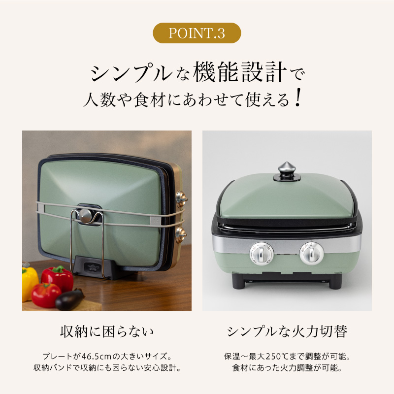 アラジン 訳あり 特別寄附額 グリーン 緑 グラファイトマジック