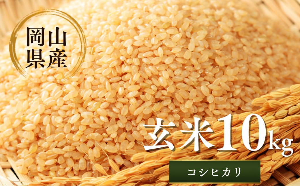 先行予約 令和8年産 新米 岡山県産米10㎏(コシヒカリ) | 岡山県産米