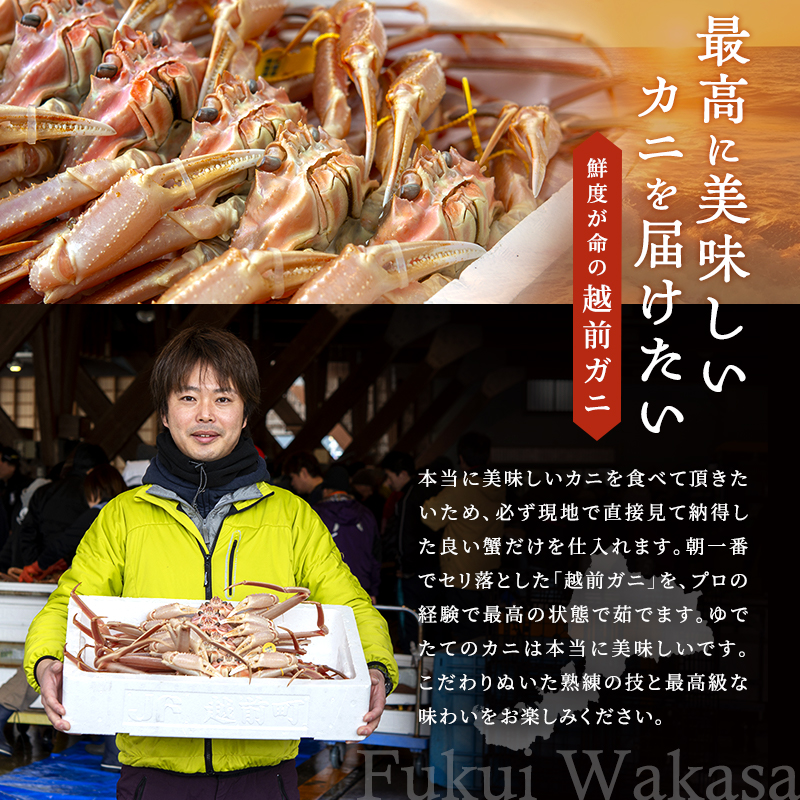 期間限定 茹で 越前ガニ 約800g以上 1杯 配送 食通もうなる本場の味を