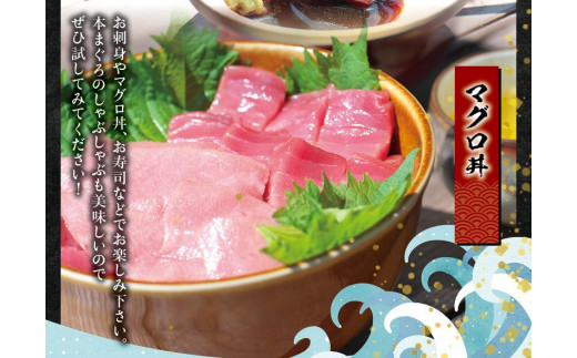 本マグロ（養殖）トロ＆赤身セット 240g 【配達日指定不可】高級