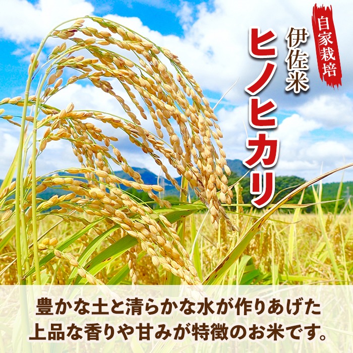 isa754 ＜数量限定＞令和7年産 伊佐のお米 ヒノヒカリ (2kg) 国産 米