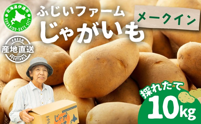じゃがいも じゃがいも ばれいしょ 野菜 10kg メークイン 先行予約＞北海道産 じゃがいも(メークイン) 約10kg | ジャガイモ