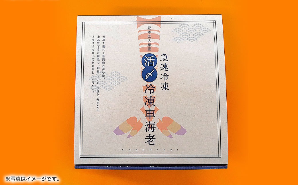 2025年12月16日迄に入金確認で年内発送】天草産 活〆冷凍 車海老 500g