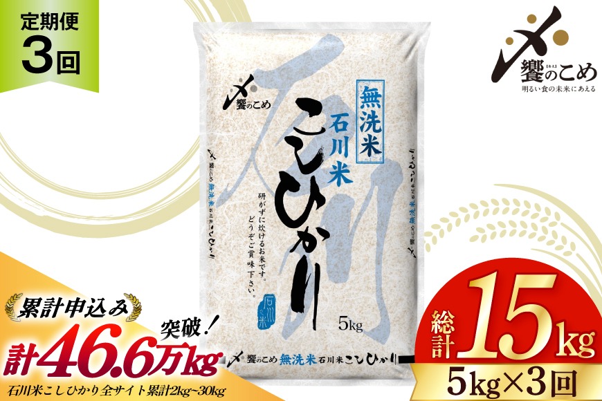 米 定期便 無洗米 石川米 こしひかり 5kg 3回 計 15kg [中橋商事 石川